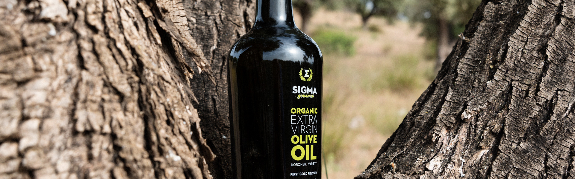 VIVO SPRAY Huile Biologique spray Vierge Extra d'olive 100